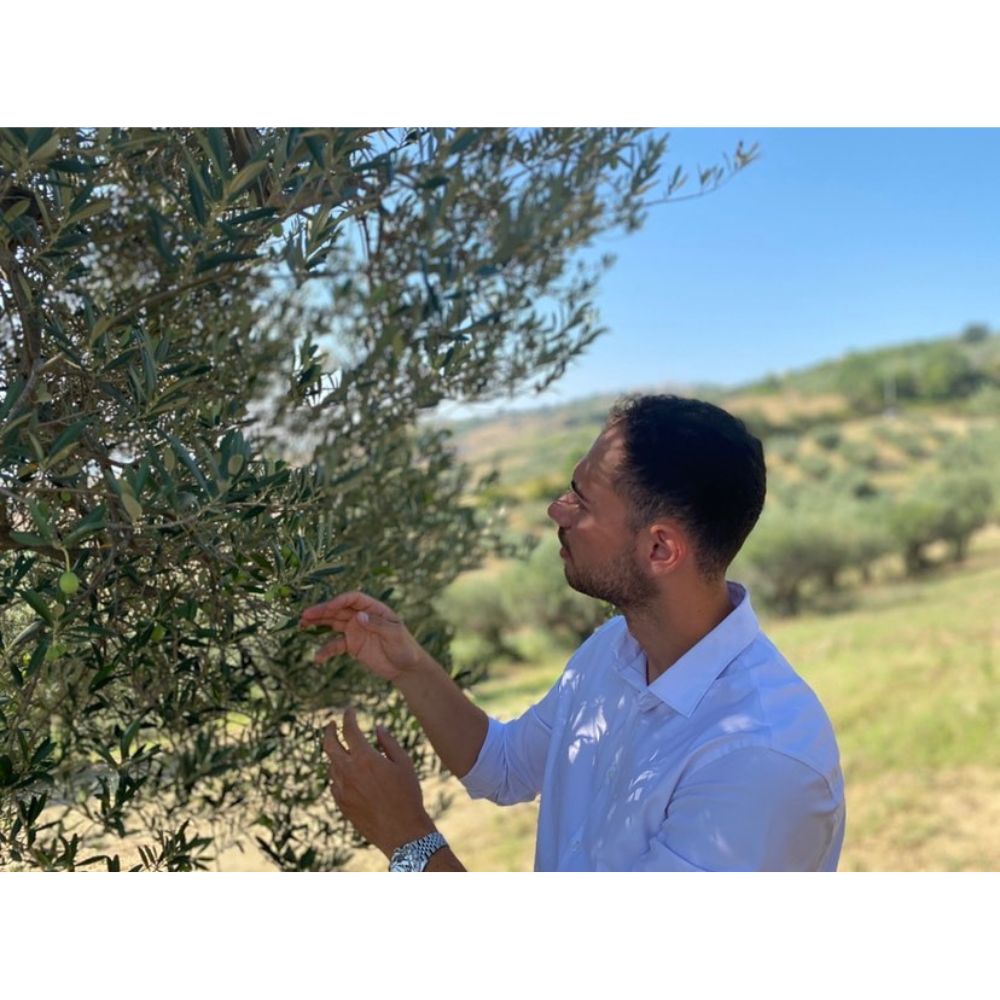 Marcello Di Fabio beim Pflücken